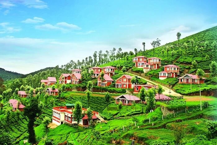 Day 02: Arrival in Coimbatore – Ooty